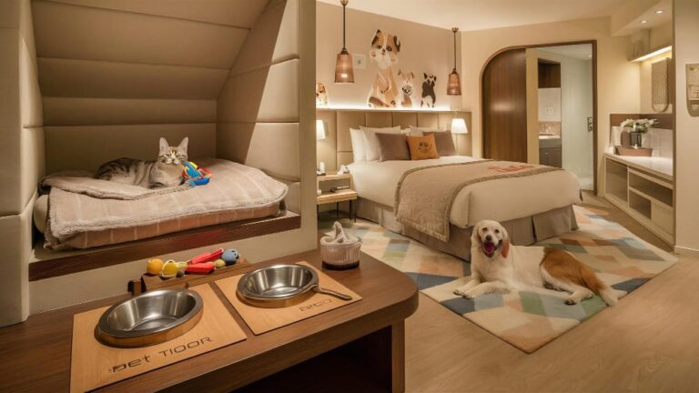 Pet friendly hotelska soba sa psom i mačkom u modernom smeštaju za ljubimce